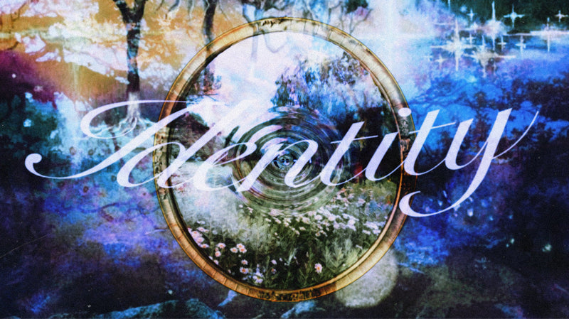 Your Identity Is the Source Code of Your Reality