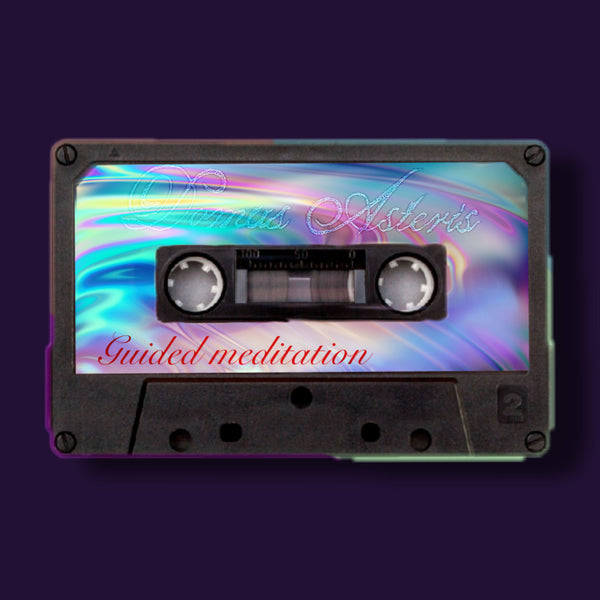 Custom Guided Meditation — Consciousness Journey